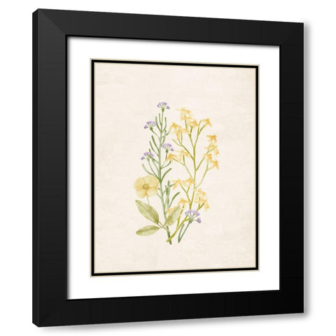 Wildflowers 1 Black Modern Wood Framed Art Print with Double Matting by Allen, Kimberly