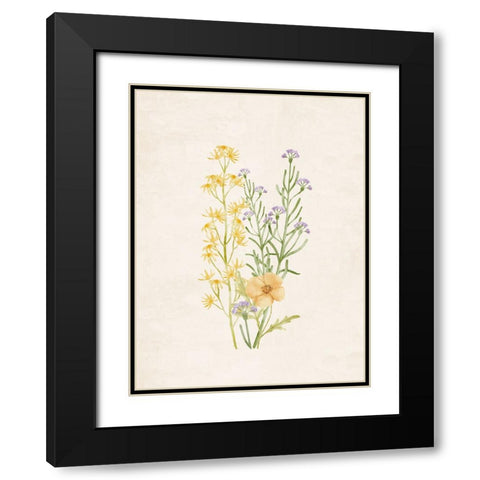 Wildflowers 2 Black Modern Wood Framed Art Print with Double Matting by Allen, Kimberly