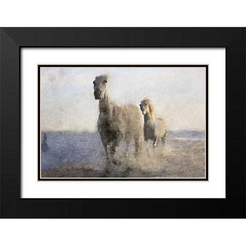 Running Free Black Modern Wood Framed Art Print with Double Matting by Allen, Kimberly