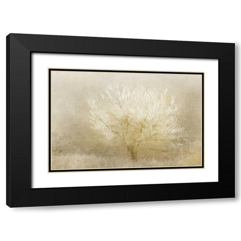 Dreaming Tree Black Modern Wood Framed Art Print with Double Matting by Allen, Kimberly