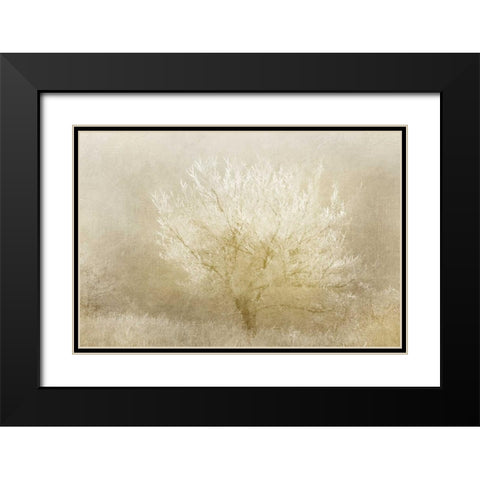 Dreaming Tree Black Modern Wood Framed Art Print with Double Matting by Allen, Kimberly