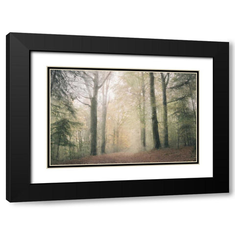 Morning Walk Black Modern Wood Framed Art Print with Double Matting by Allen, Kimberly