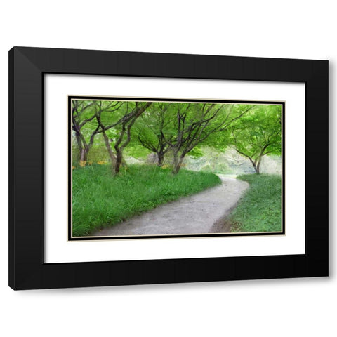 Along the Path Black Modern Wood Framed Art Print with Double Matting by Allen, Kimberly