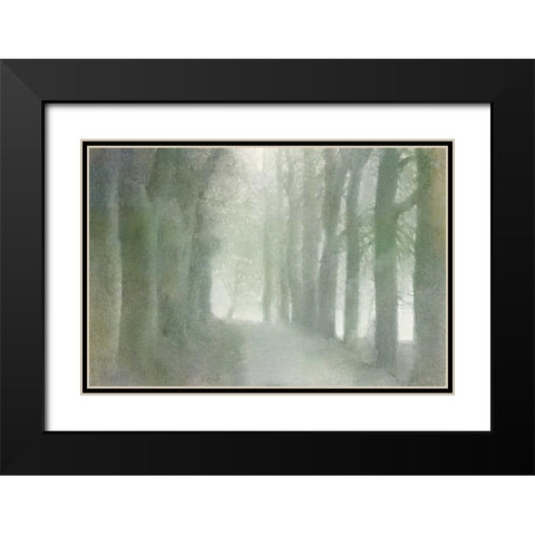 Natural Walkway Black Modern Wood Framed Art Print with Double Matting by Allen, Kimberly