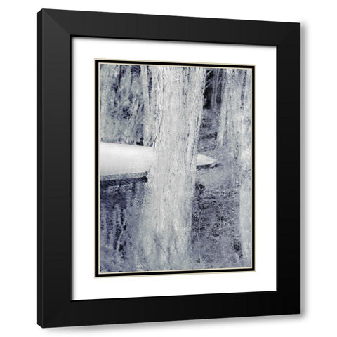 Through the Trees B Black Modern Wood Framed Art Print with Double Matting by Kimberly, Allen