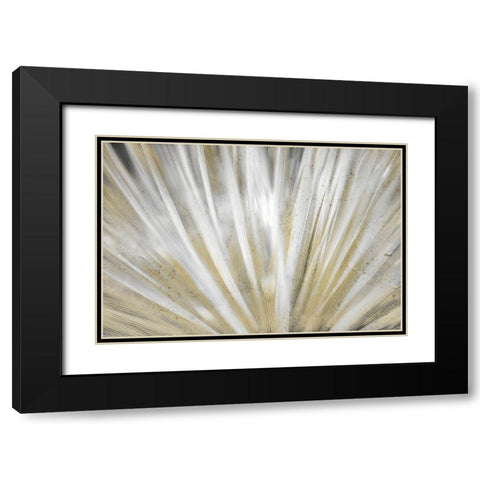 Burst of Day Black Modern Wood Framed Art Print with Double Matting by Kimberly, Allen