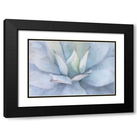 Serene Succulent Black Modern Wood Framed Art Print with Double Matting by Allen, Kimberly