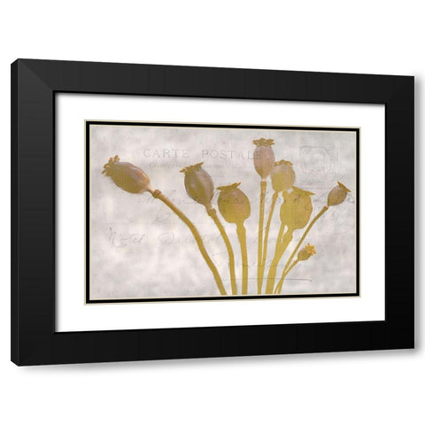 Poppy Buds Black Modern Wood Framed Art Print with Double Matting by Kimberly, Allen