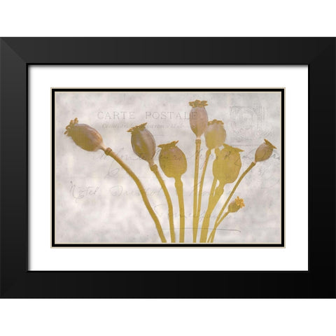 Poppy Buds Black Modern Wood Framed Art Print with Double Matting by Kimberly, Allen