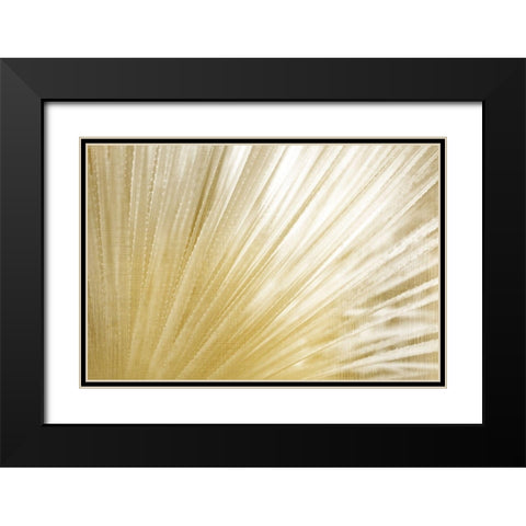 Golden Succulent Black Modern Wood Framed Art Print with Double Matting by Kimberly, Allen