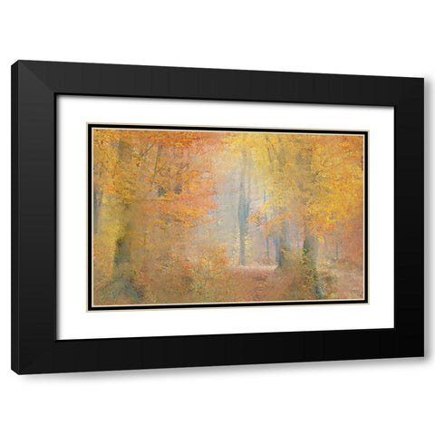 Colors of Autumn Black Modern Wood Framed Art Print with Double Matting by Kimberly, Allen