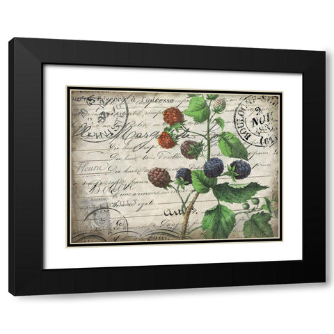Vintage Blackberries Black Modern Wood Framed Art Print with Double Matting by Kimberly, Allen