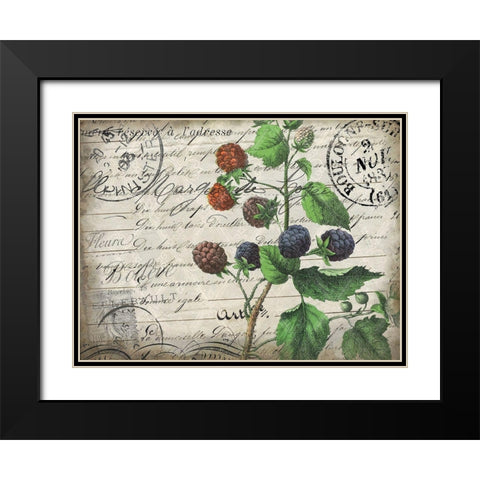 Vintage Blackberries Black Modern Wood Framed Art Print with Double Matting by Kimberly, Allen