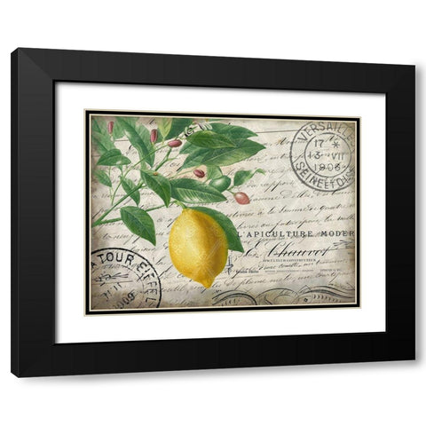 Vintage Lemon Black Modern Wood Framed Art Print with Double Matting by Kimberly, Allen