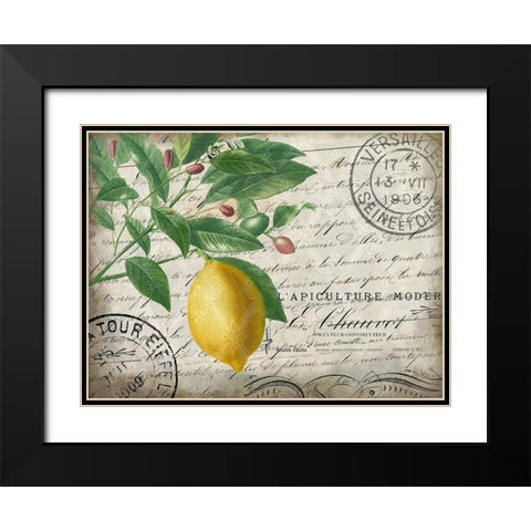 Vintage Lemon Black Modern Wood Framed Art Print with Double Matting by Kimberly, Allen