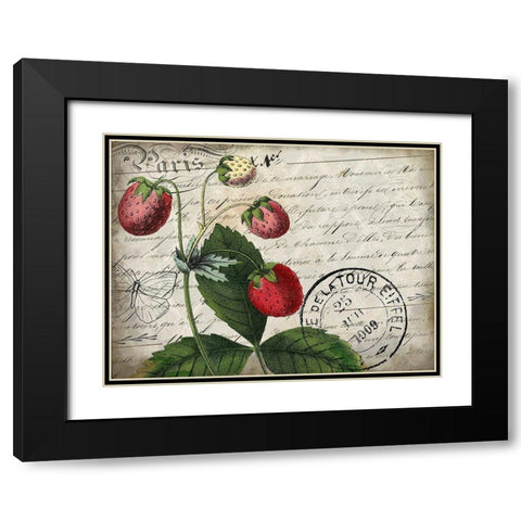 Vintage Strawberry Black Modern Wood Framed Art Print with Double Matting by Kimberly, Allen