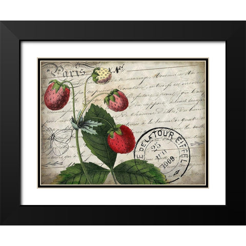 Vintage Strawberry Black Modern Wood Framed Art Print with Double Matting by Kimberly, Allen