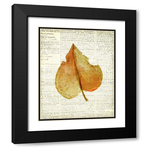 In the Fall 3  Black Modern Wood Framed Art Print with Double Matting by Kimberly, Allen