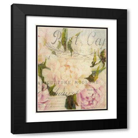Summer Blooming Series C Black Modern Wood Framed Art Print with Double Matting by Kimberly, Allen