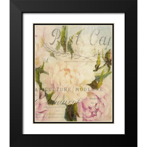Summer Blooming Series C Black Modern Wood Framed Art Print with Double Matting by Kimberly, Allen