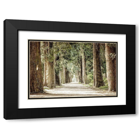 Along the Path Black Modern Wood Framed Art Print with Double Matting by Kimberly, Allen