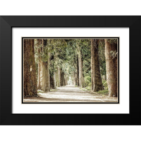 Along the Path Black Modern Wood Framed Art Print with Double Matting by Kimberly, Allen
