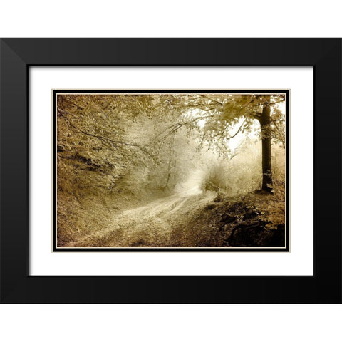Autumn walk Black Modern Wood Framed Art Print with Double Matting by Kimberly, Allen