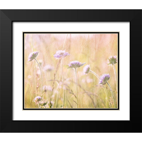 Hazy Afternoon Sun 1 Black Modern Wood Framed Art Print with Double Matting by Kimberly, Allen