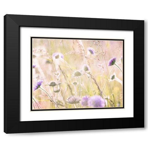 Hazy Afternoon Sun 2 Black Modern Wood Framed Art Print with Double Matting by Kimberly, Allen