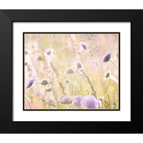 Hazy Afternoon Sun 2 Black Modern Wood Framed Art Print with Double Matting by Kimberly, Allen