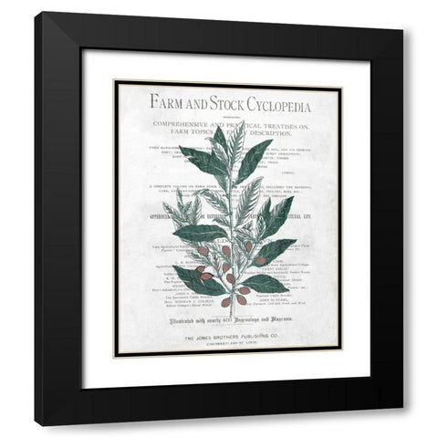 Botanical 1 Black Modern Wood Framed Art Print with Double Matting by Kimberly, Allen