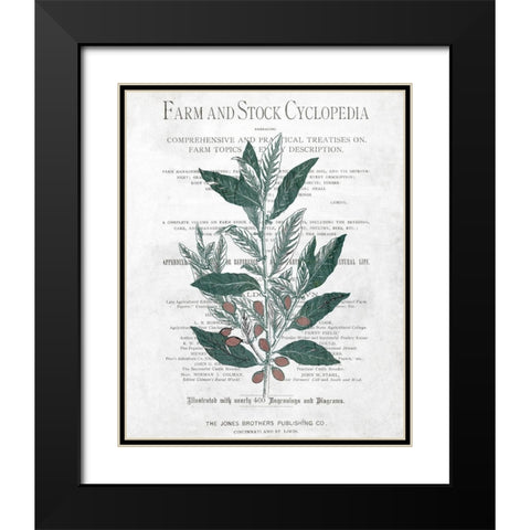 Botanical 1 Black Modern Wood Framed Art Print with Double Matting by Kimberly, Allen