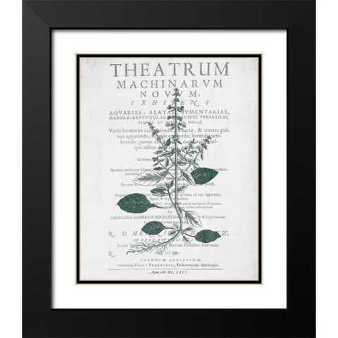 Botanical 2 Black Modern Wood Framed Art Print with Double Matting by Kimberly, Allen