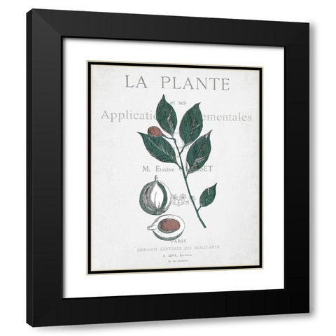 Botanical 3 Black Modern Wood Framed Art Print with Double Matting by Kimberly, Allen