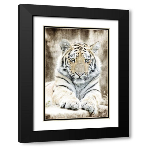 Concentration Black Modern Wood Framed Art Print with Double Matting by Kimberly, Allen