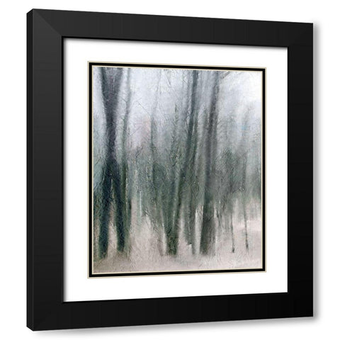 Shrouded Forest 2 Black Modern Wood Framed Art Print with Double Matting by Allen, Kimberly