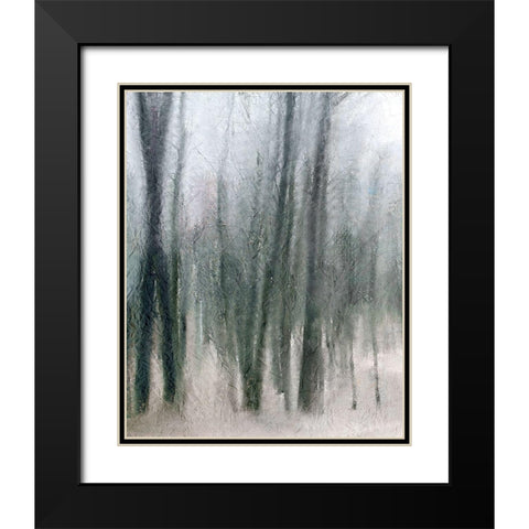 Shrouded Forest 2 Black Modern Wood Framed Art Print with Double Matting by Allen, Kimberly