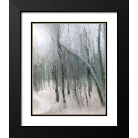 Shrouded Forest 3 Black Modern Wood Framed Art Print with Double Matting by Allen, Kimberly