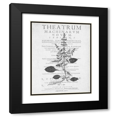 Defused Botanical 2 Black Modern Wood Framed Art Print with Double Matting by Kimberly, Allen