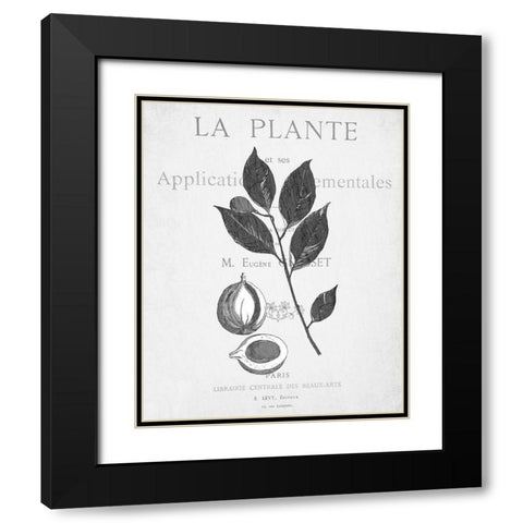 Defused Botanical 3 Black Modern Wood Framed Art Print with Double Matting by Kimberly, Allen