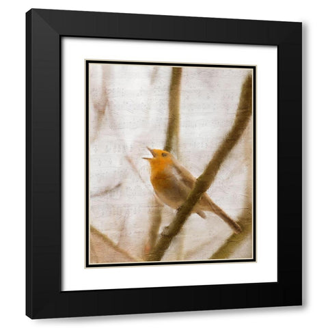 Bird on a Branch 2 Black Modern Wood Framed Art Print with Double Matting by Kimberly, Allen