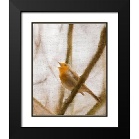 Bird on a Branch 2 Black Modern Wood Framed Art Print with Double Matting by Kimberly, Allen