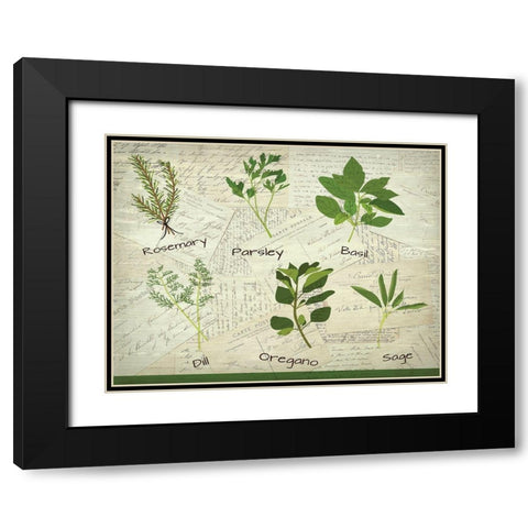 Fresh Herbs Black Modern Wood Framed Art Print with Double Matting by Kimberly, Allen