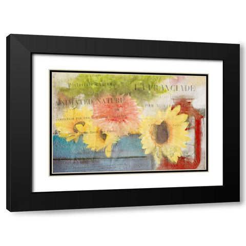 Day in the Garden Black Modern Wood Framed Art Print with Double Matting by Kimberly, Allen