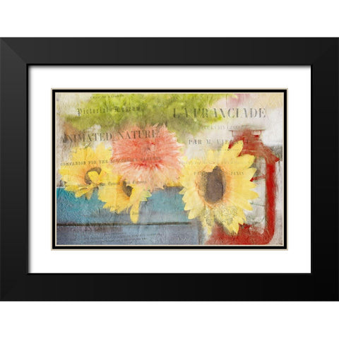 Day in the Garden Black Modern Wood Framed Art Print with Double Matting by Kimberly, Allen