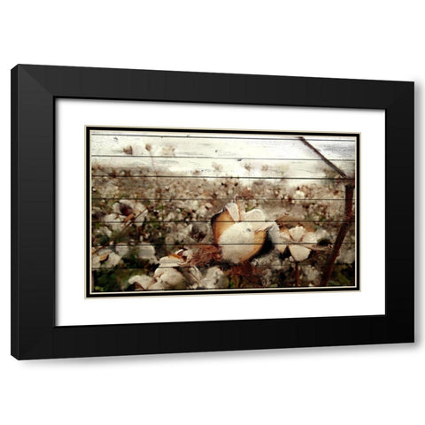Cotton Field 1 Black Modern Wood Framed Art Print with Double Matting by Kimberly, Allen