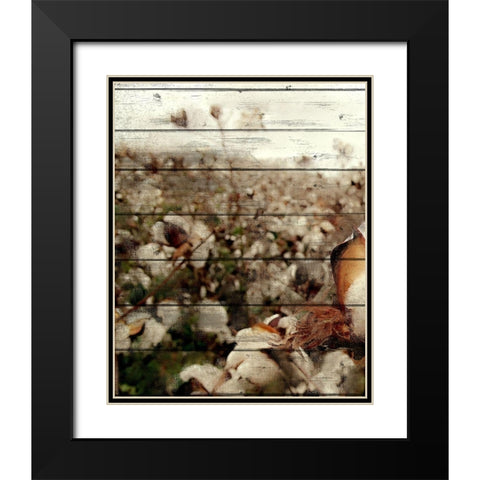 Cotton Field 2 Black Modern Wood Framed Art Print with Double Matting by Kimberly, Allen