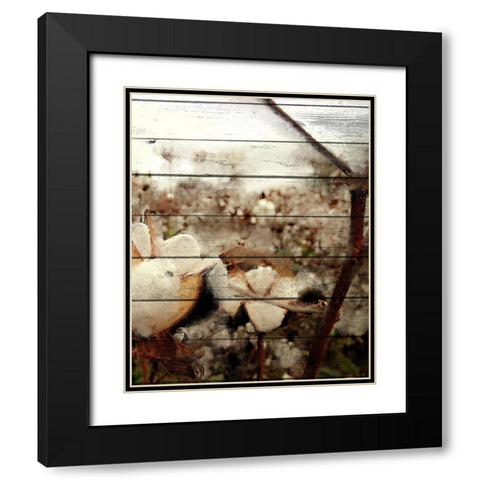 Cotton Field 3 Black Modern Wood Framed Art Print with Double Matting by Kimberly, Allen