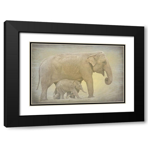 Side by Side Black Modern Wood Framed Art Print with Double Matting by Kimberly, Allen