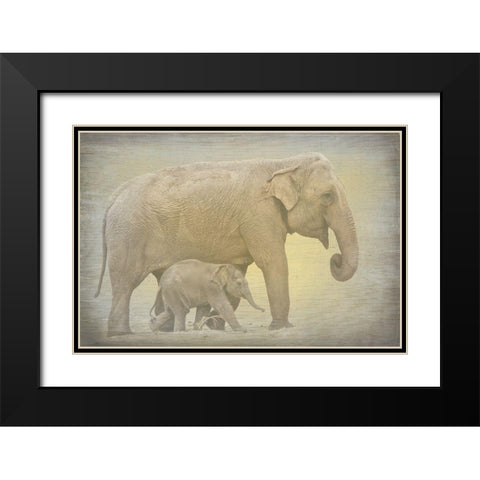 Side by Side Black Modern Wood Framed Art Print with Double Matting by Kimberly, Allen